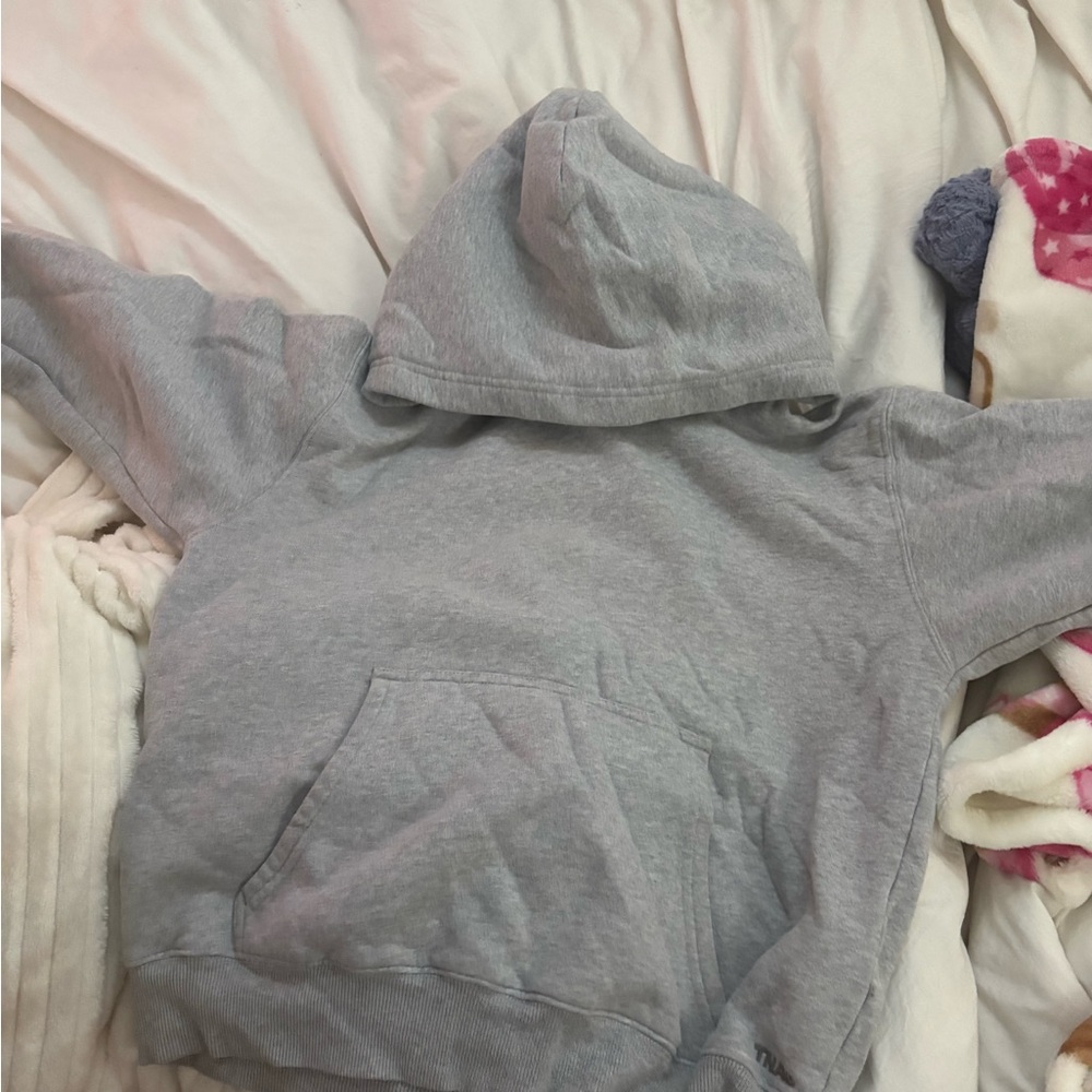 Aritzia Light Gray Hoodie